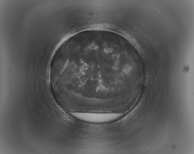 X0000097911224200803281354