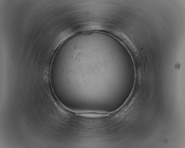 X0000097911225200803281354