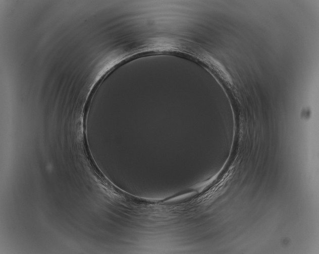 X0000097911226200803281354