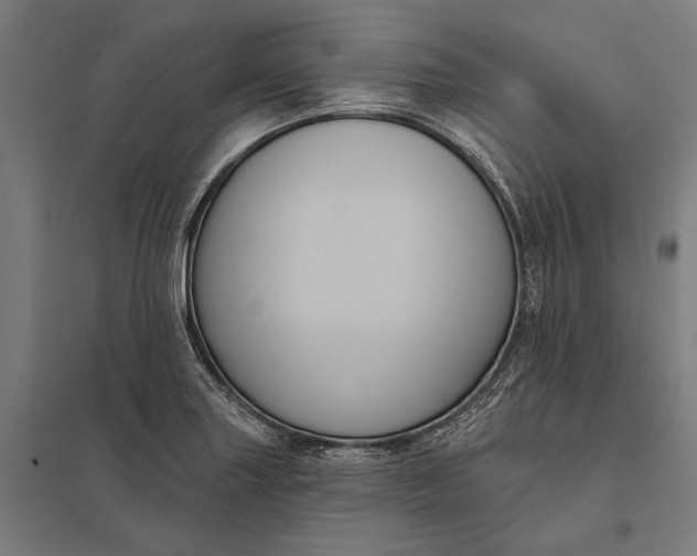 X0000097911227200803281354