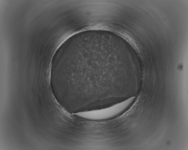 X0000097911228200803281354