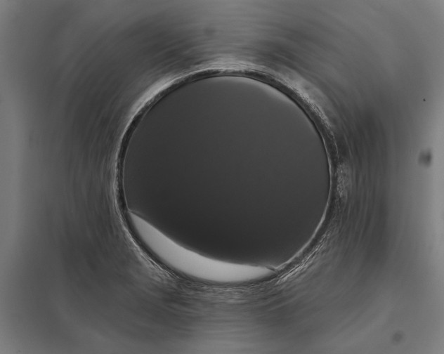 X0000097911229200803281355