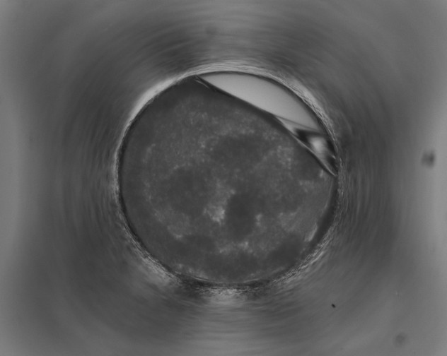 X0000097911230200803281355