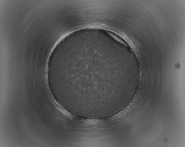 X0000097911232200803281355