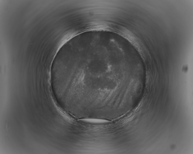 X0000097911234200803281355