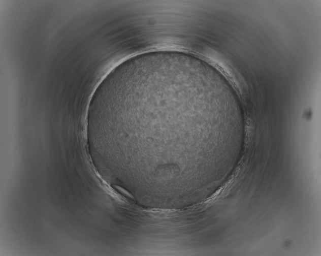 X0000097911236200803281355