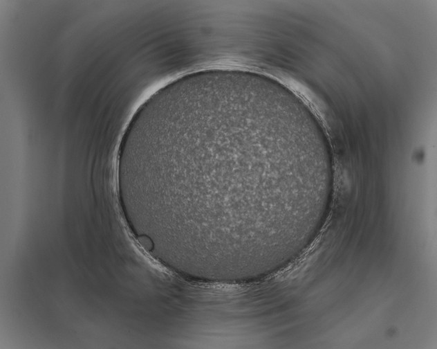 X0000097911238200803281355