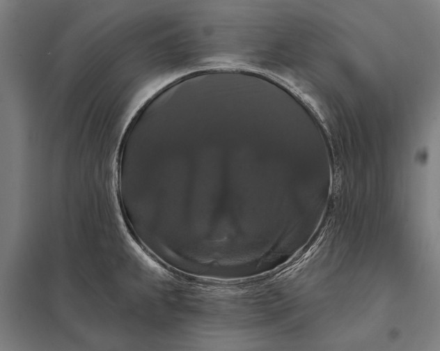 X0000097911239200803281355