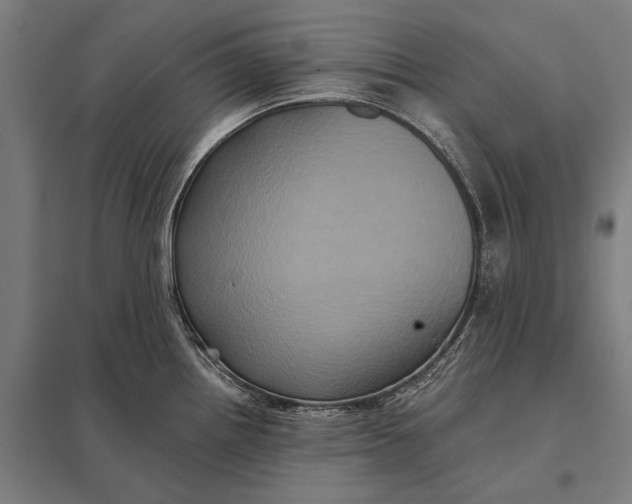 X0000097911242200803281355