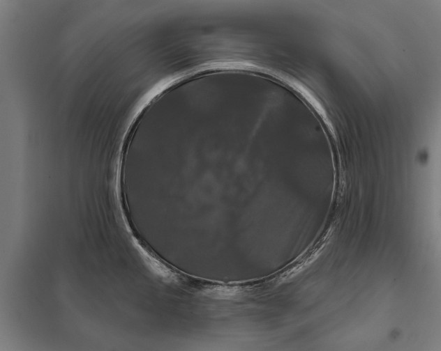 X0000097911245200803281355