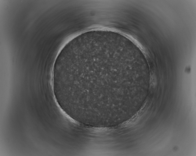 X0000097911247200803281355