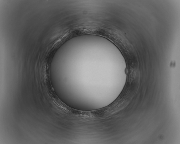 X0000097911250200803281354