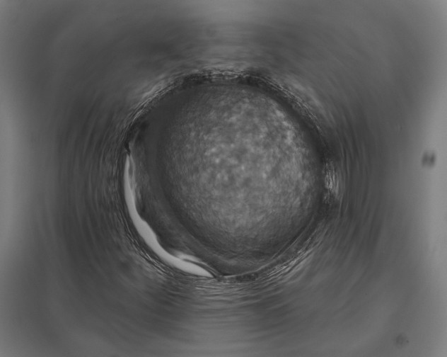 X0000097911252200803281354