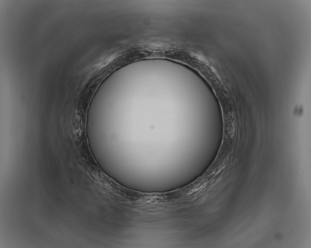 X0000097911253200803281354