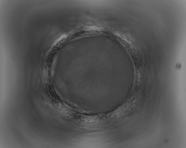 X0000097911254200803281354