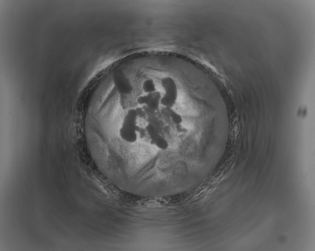 X0000097911255200803281354