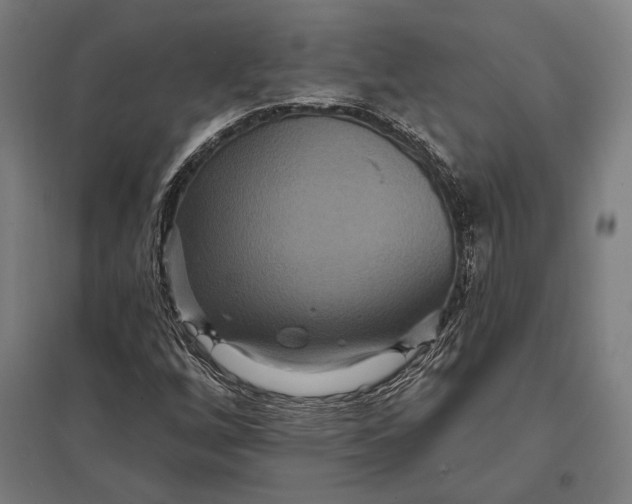 X0000097911256200803281354