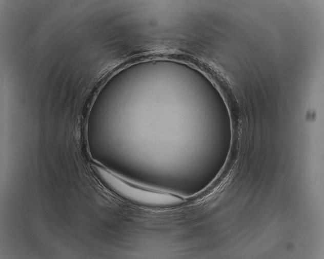 X0000097911257200803281354