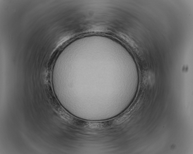 X0000097911258200803281354