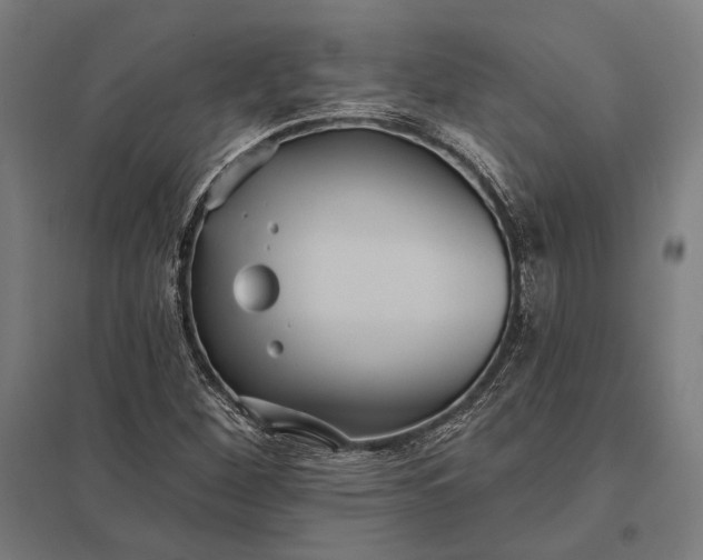 X0000097911260200803281354