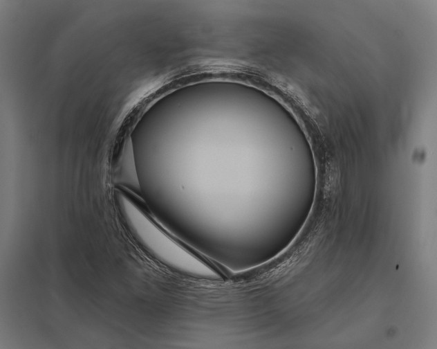 X0000097911261200803281354