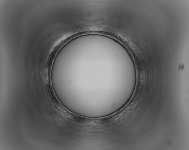 X0000097911262200803281354