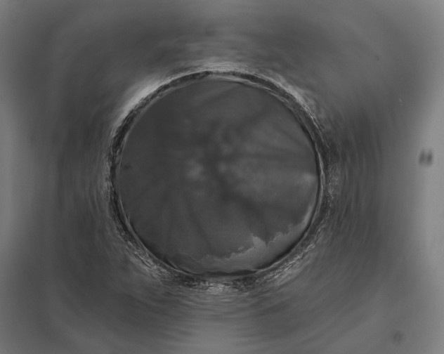 X0000097911263200803281354