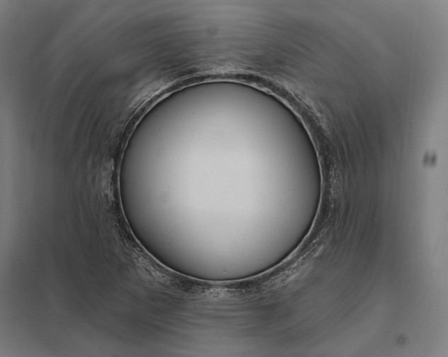 X0000097911265200803281354