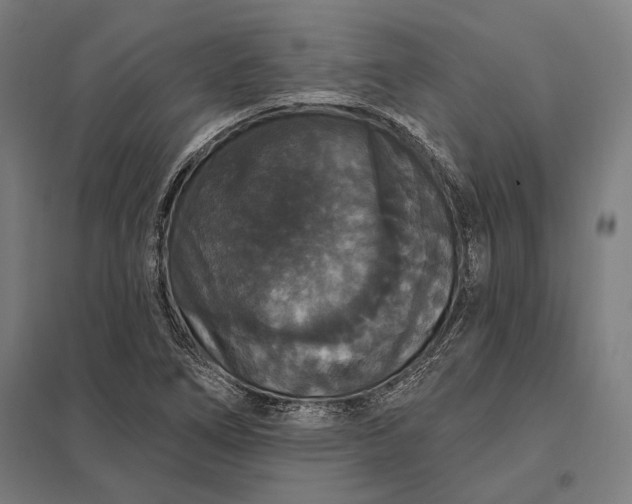 X0000097911266200803281354