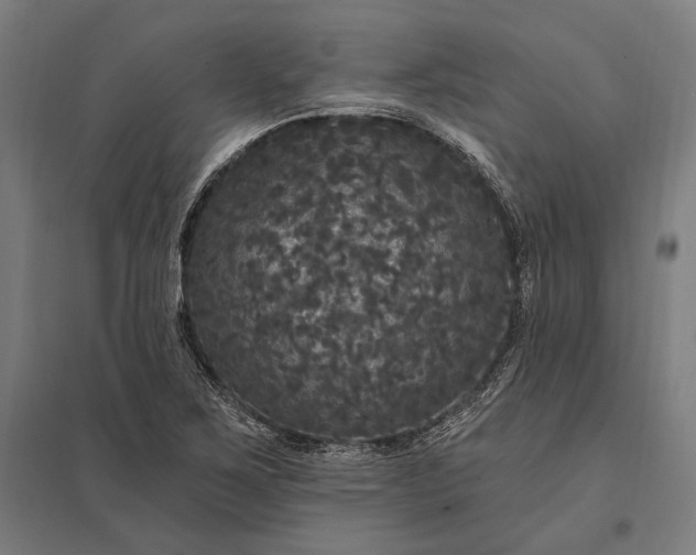 X0000097911267200803281354