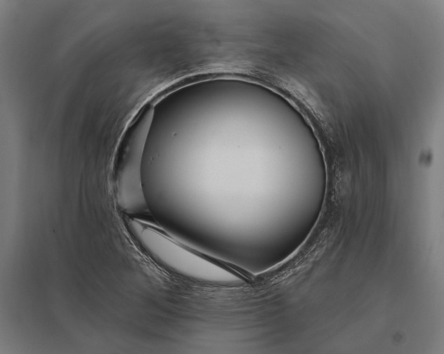 X0000097911268200803281354