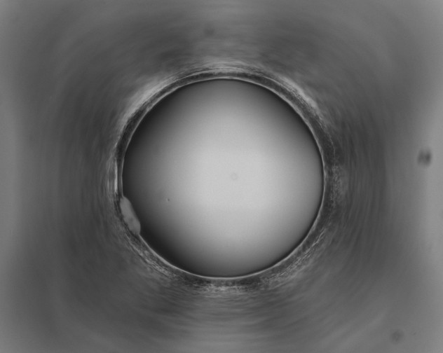 X0000097911269200803281354