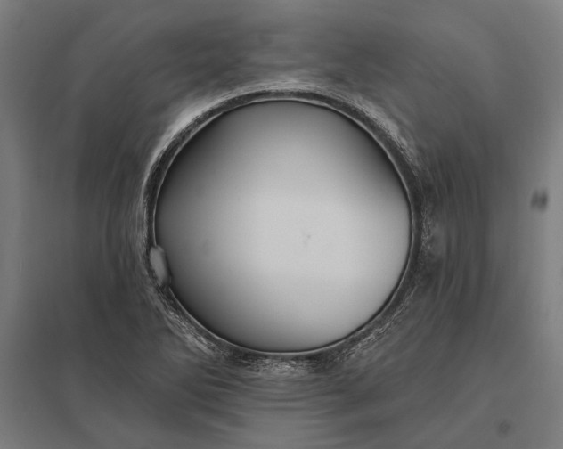 X0000097911270200803281354