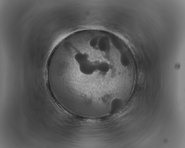 X0000097911271200803281354