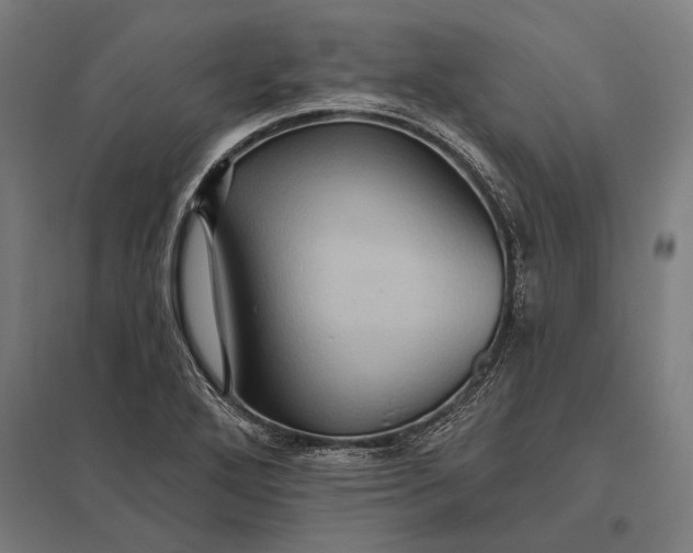 X0000097911272200803281354