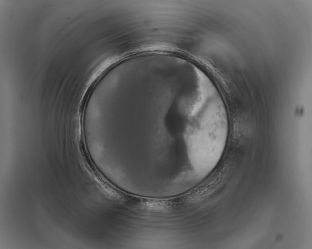 X0000097911274200803281354