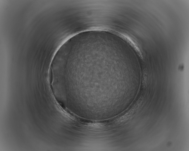 X0000097911276200803281354