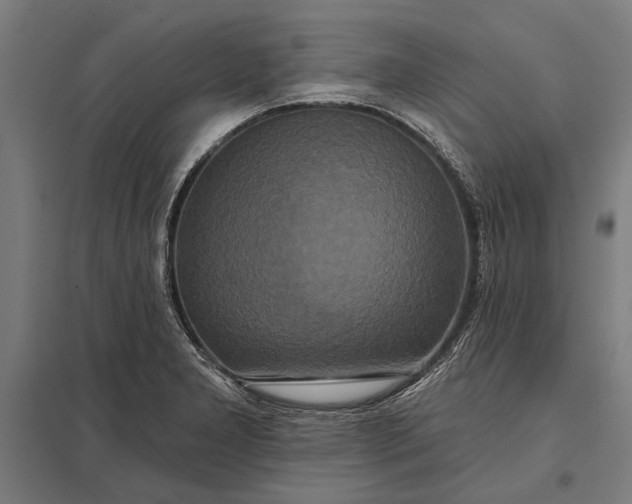 X0000097911277200803281354