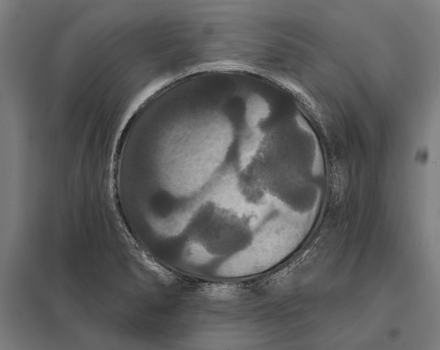 X0000097911278200803281354