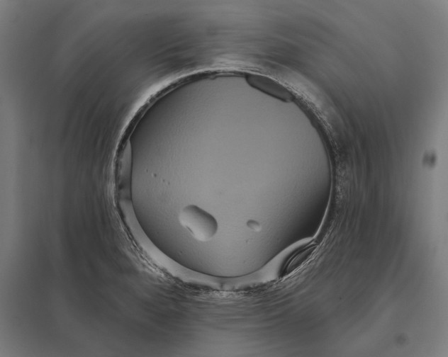 X0000097911280200803281354