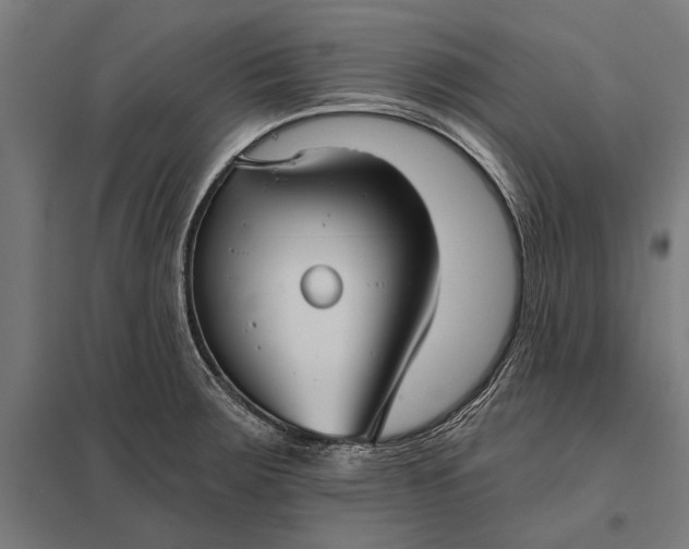 X0000097911283200803281354