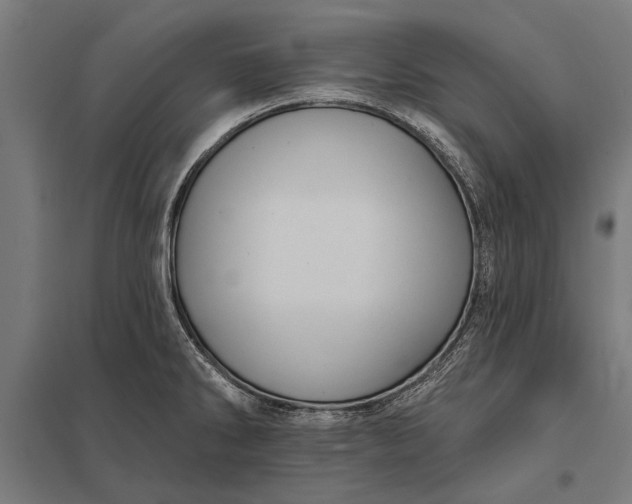 X0000097911286200803281354