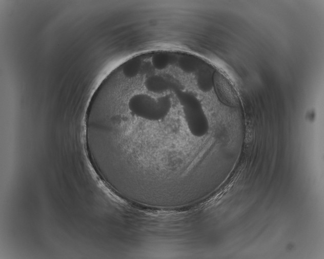 X0000097911287200803281354