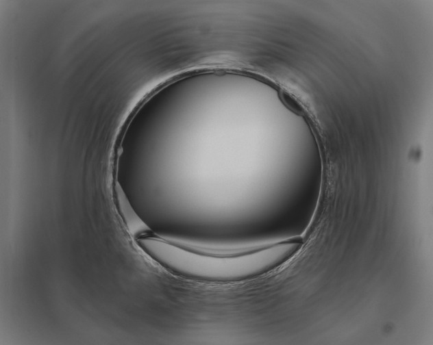 X0000097911288200803281354