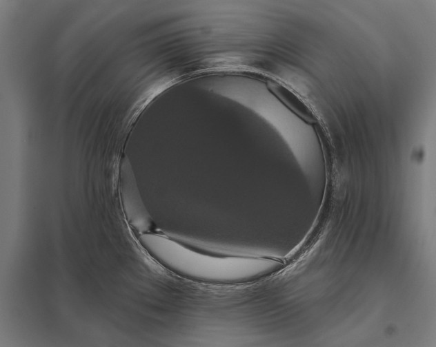 X0000097911289200803281354