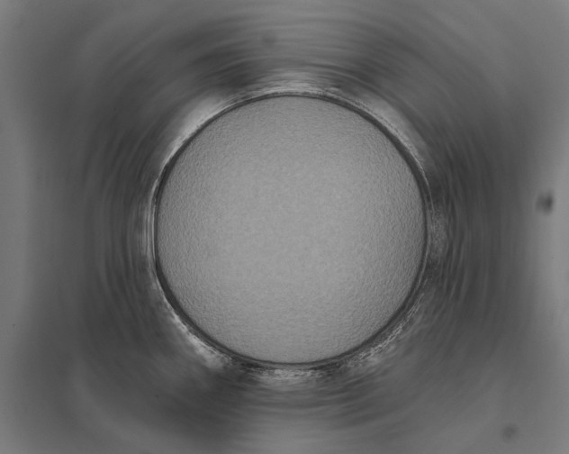 X0000097911290200803281354