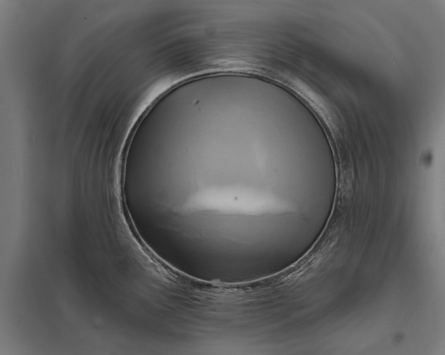 X0000097911291200803281354