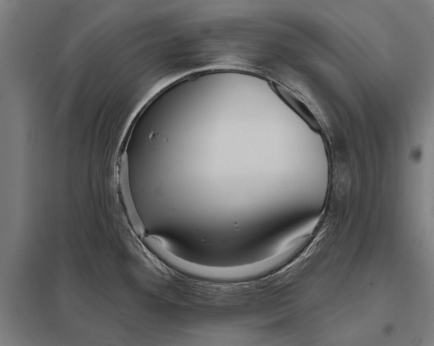 X0000097911292200803281354