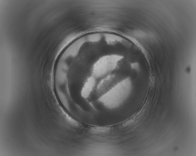 X0000097911294200803281353