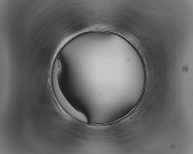 X0000097911296200803281353